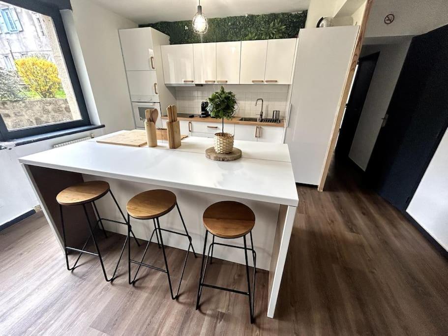 Le Puy En Velay - Appartement Grand Confort エクステリア 写真