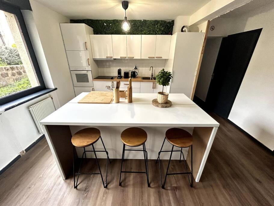 Le Puy En Velay - Appartement Grand Confort エクステリア 写真