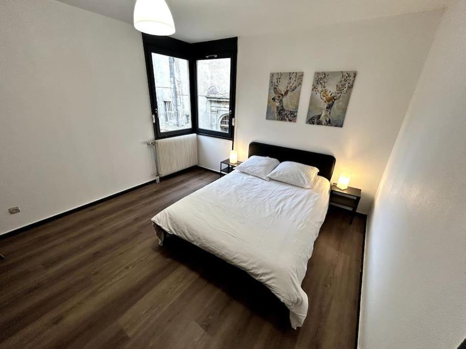 Le Puy En Velay - Appartement Grand Confort エクステリア 写真