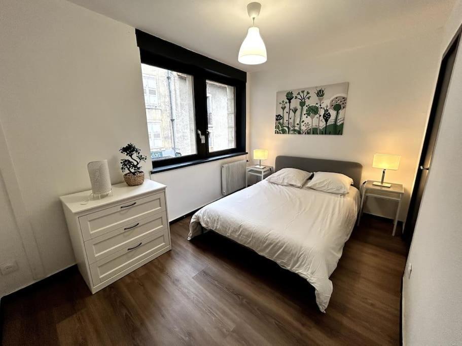 Le Puy En Velay - Appartement Grand Confort エクステリア 写真