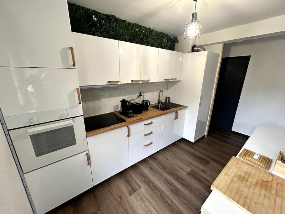 Le Puy En Velay - Appartement Grand Confort エクステリア 写真