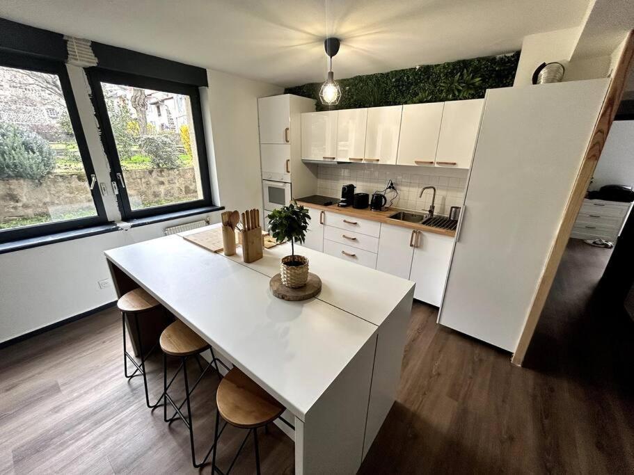 Le Puy En Velay - Appartement Grand Confort エクステリア 写真