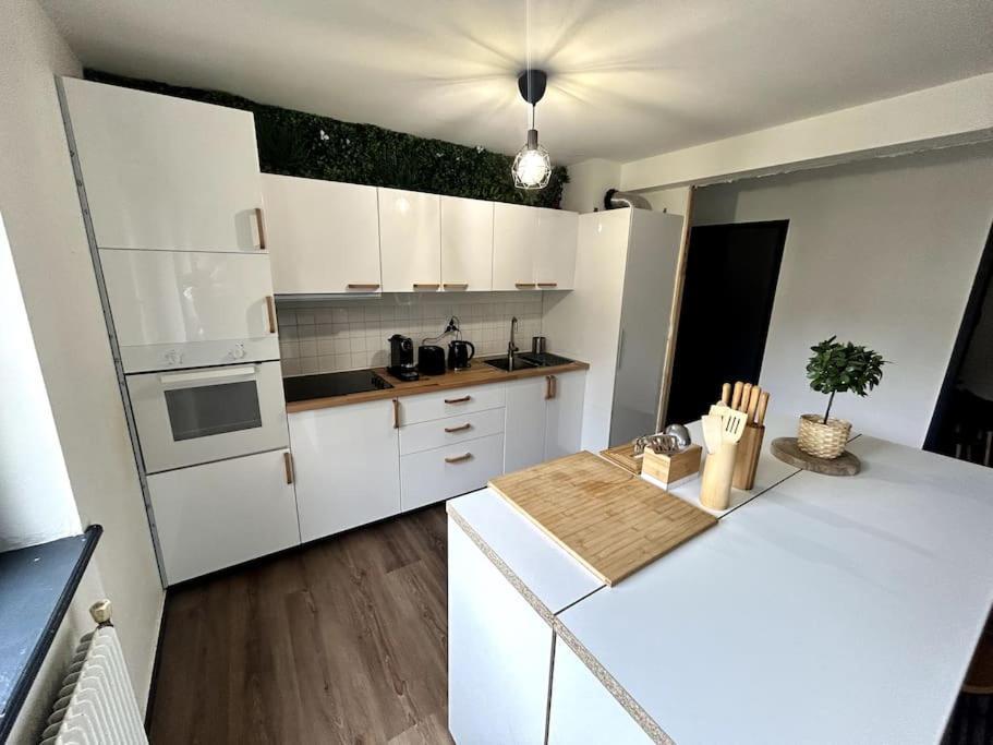 Le Puy En Velay - Appartement Grand Confort エクステリア 写真