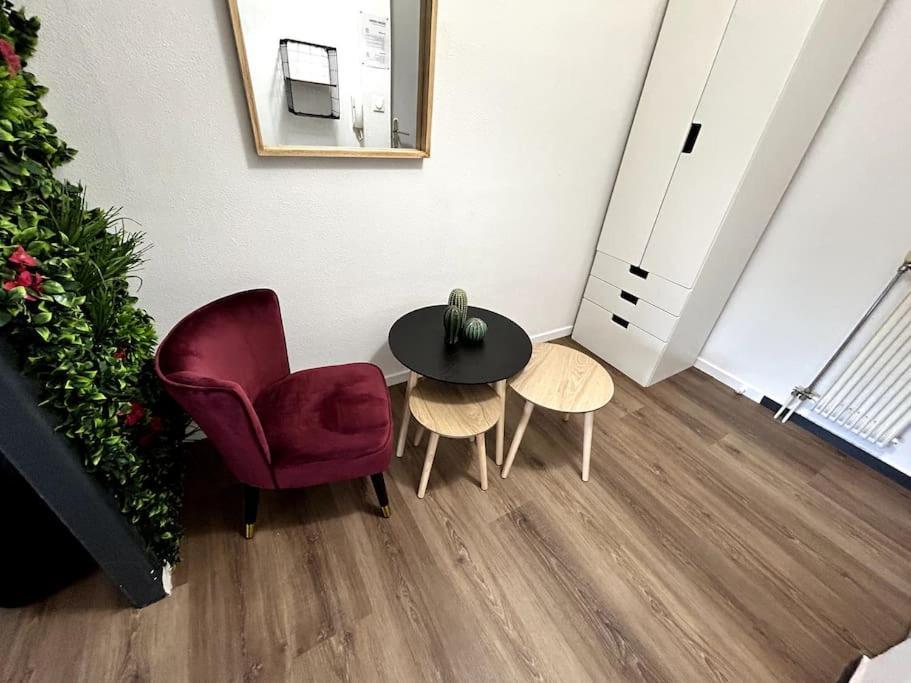 Le Puy En Velay - Appartement Grand Confort エクステリア 写真