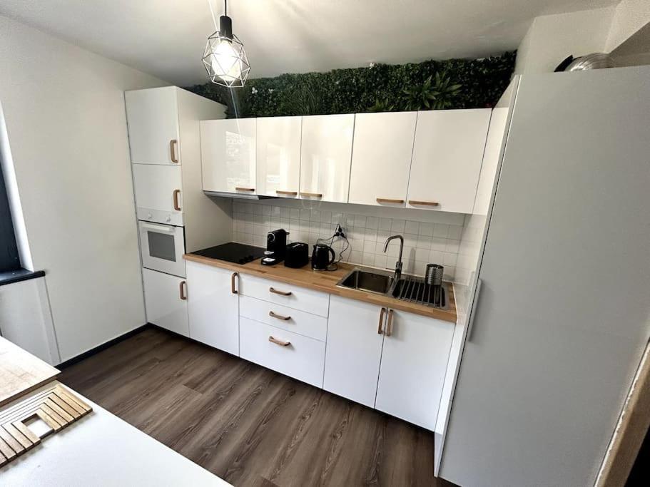 Le Puy En Velay - Appartement Grand Confort エクステリア 写真