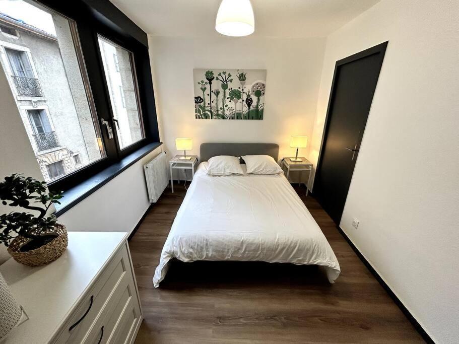 Le Puy En Velay - Appartement Grand Confort エクステリア 写真